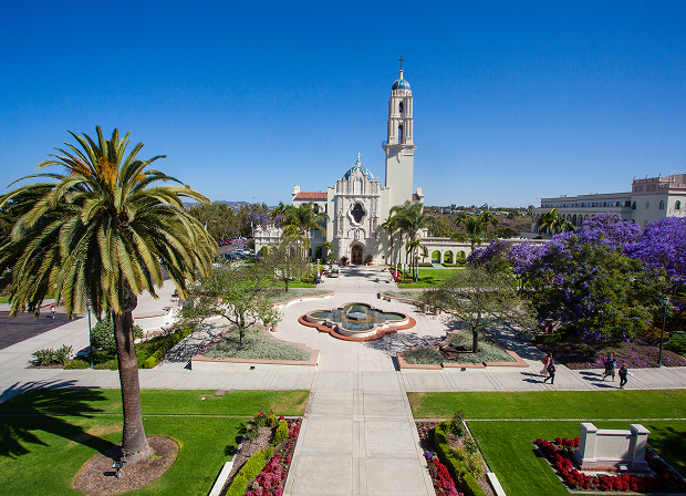 custom post type-1 custom post type-1