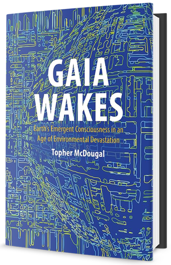 gaiawakesmockup